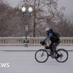 Rare snowstorm hits US south forcing mass flight cancellations