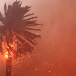 Los Angeles wildfires timeline: How the deadly blazes unfolded