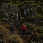 In Chile, U.S. conservationist Tompkins works to preserve Chile’s Patagonia : NPR